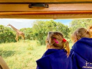 two little girl looking at a giraffe from their jeep.