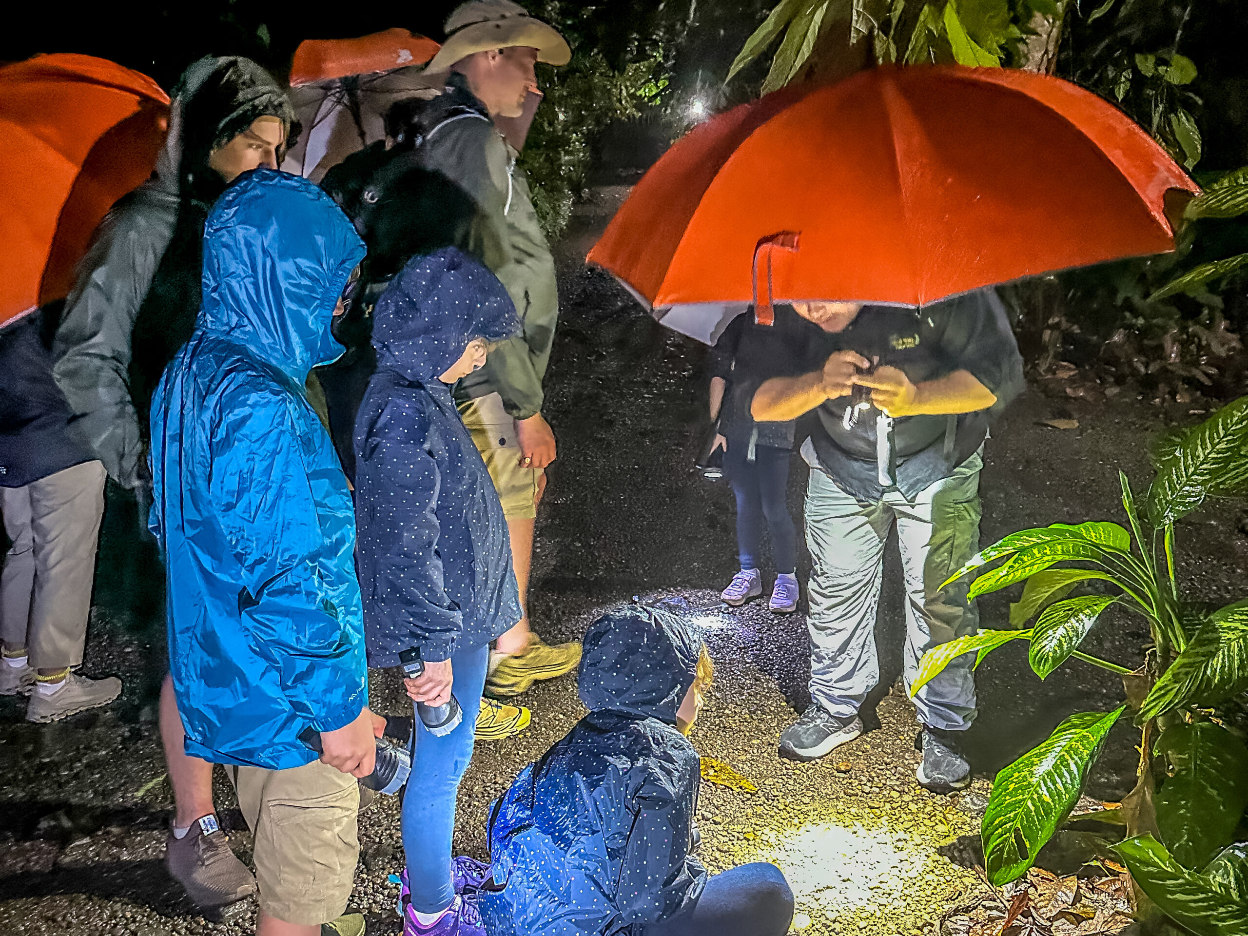 costa rica nighr