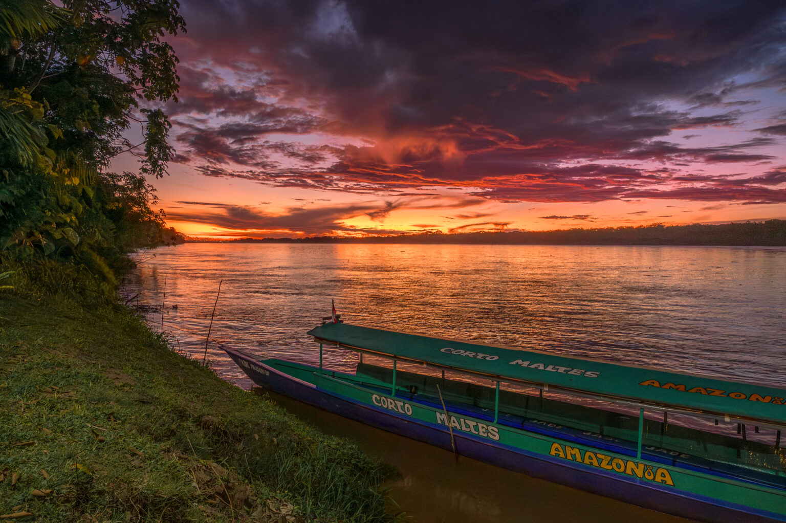 Peru_Amazon_25-4