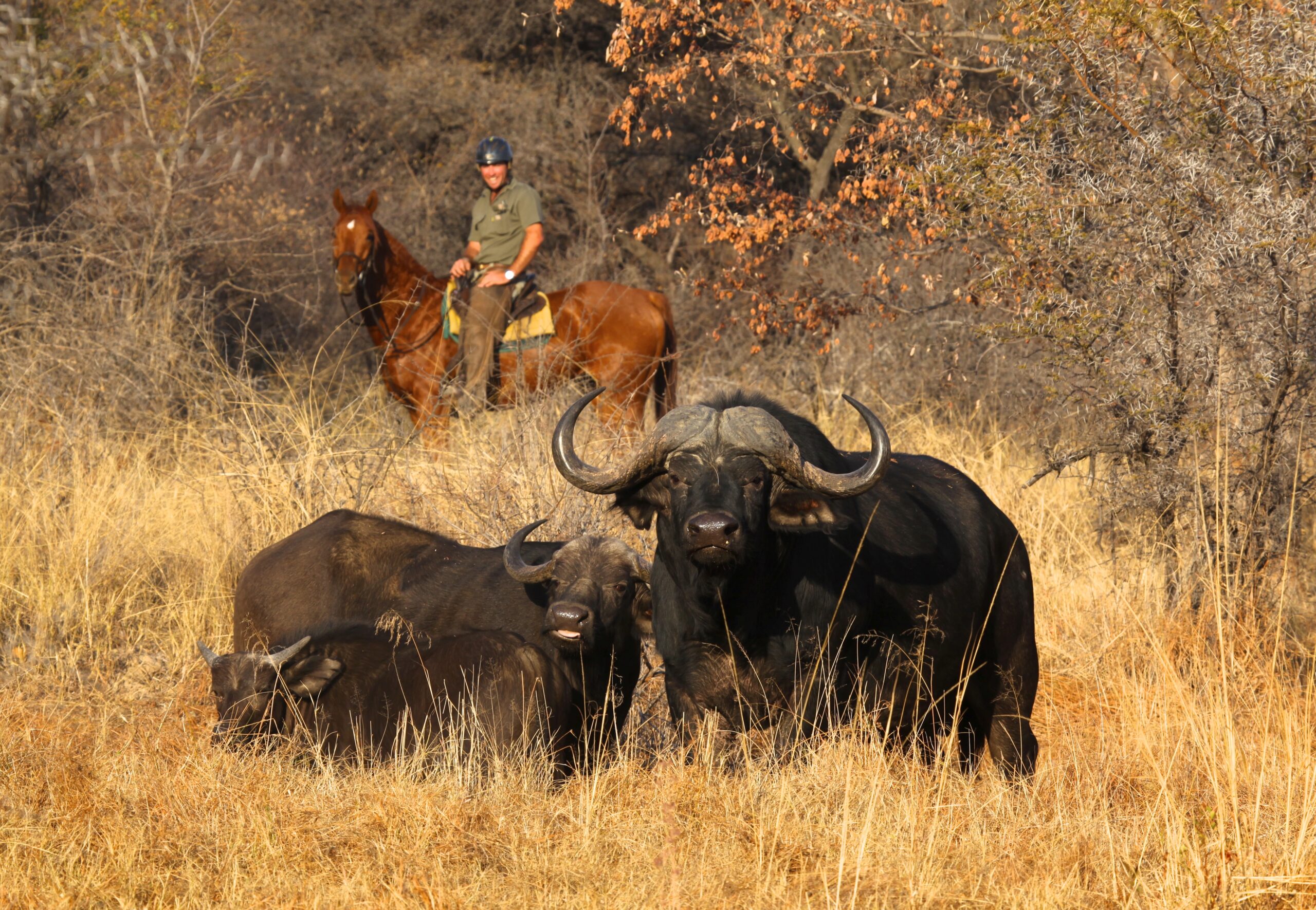 Riding safaris at Ant's (13)