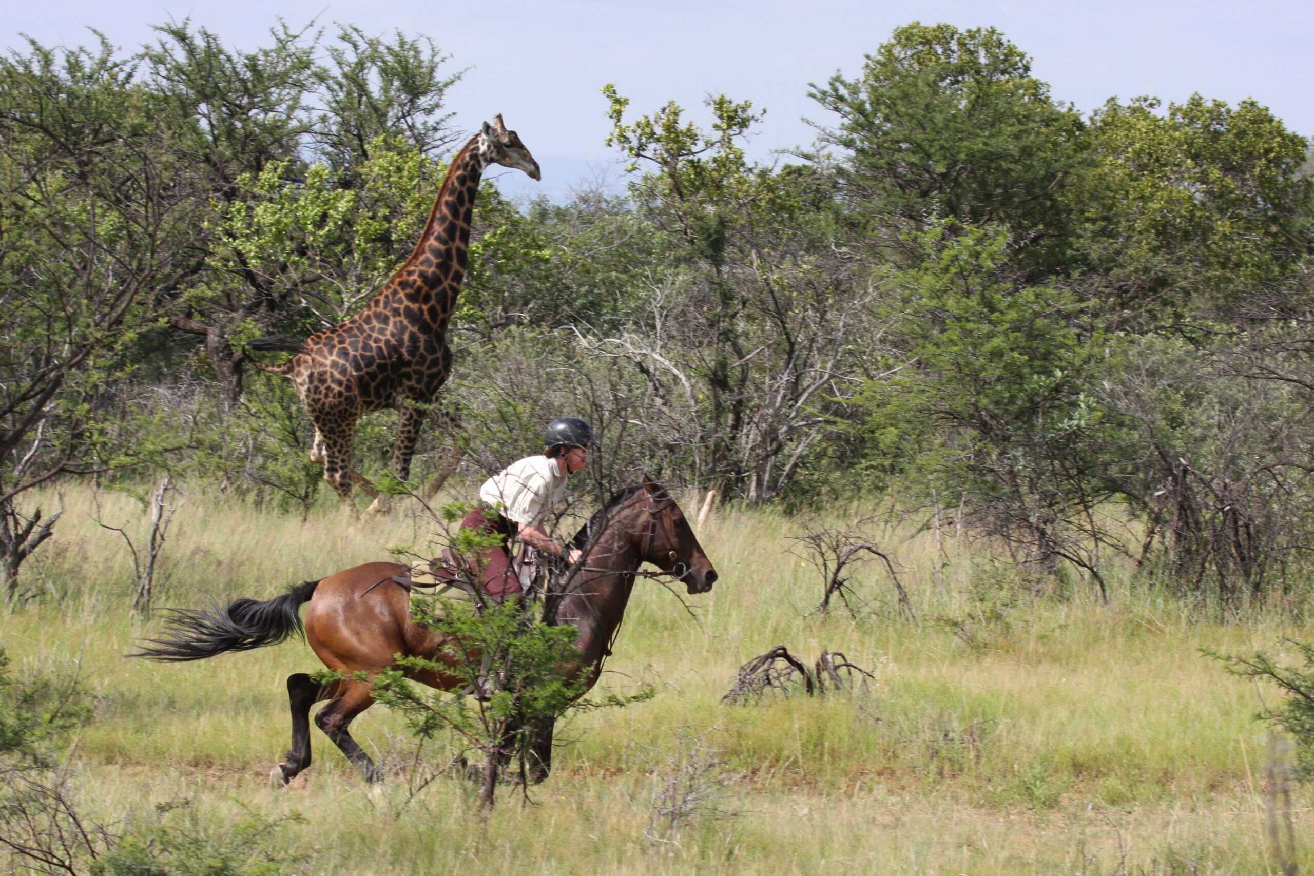 Riding safaris at Ant's (15)