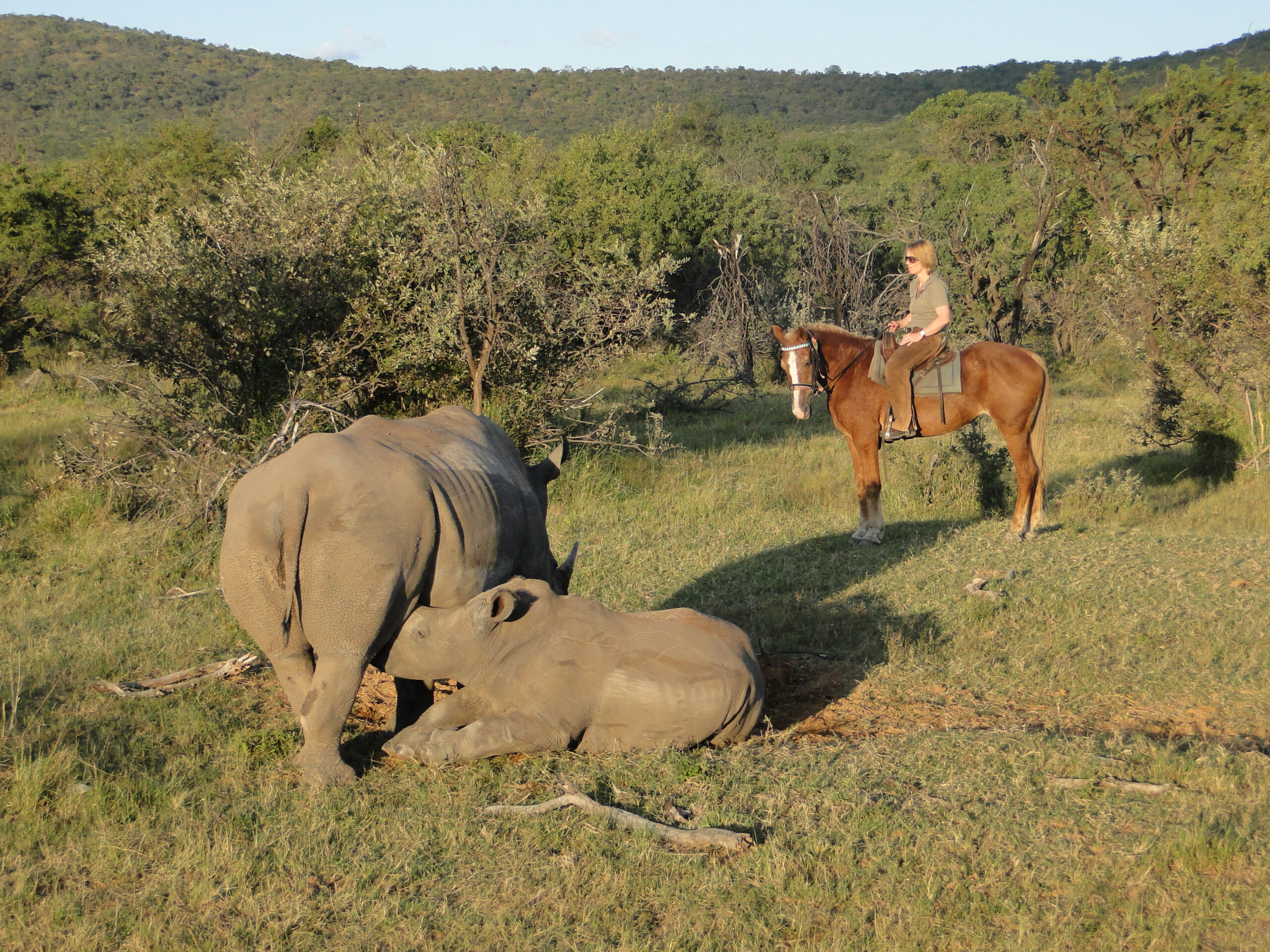 Riding safaris at Ant's (19)