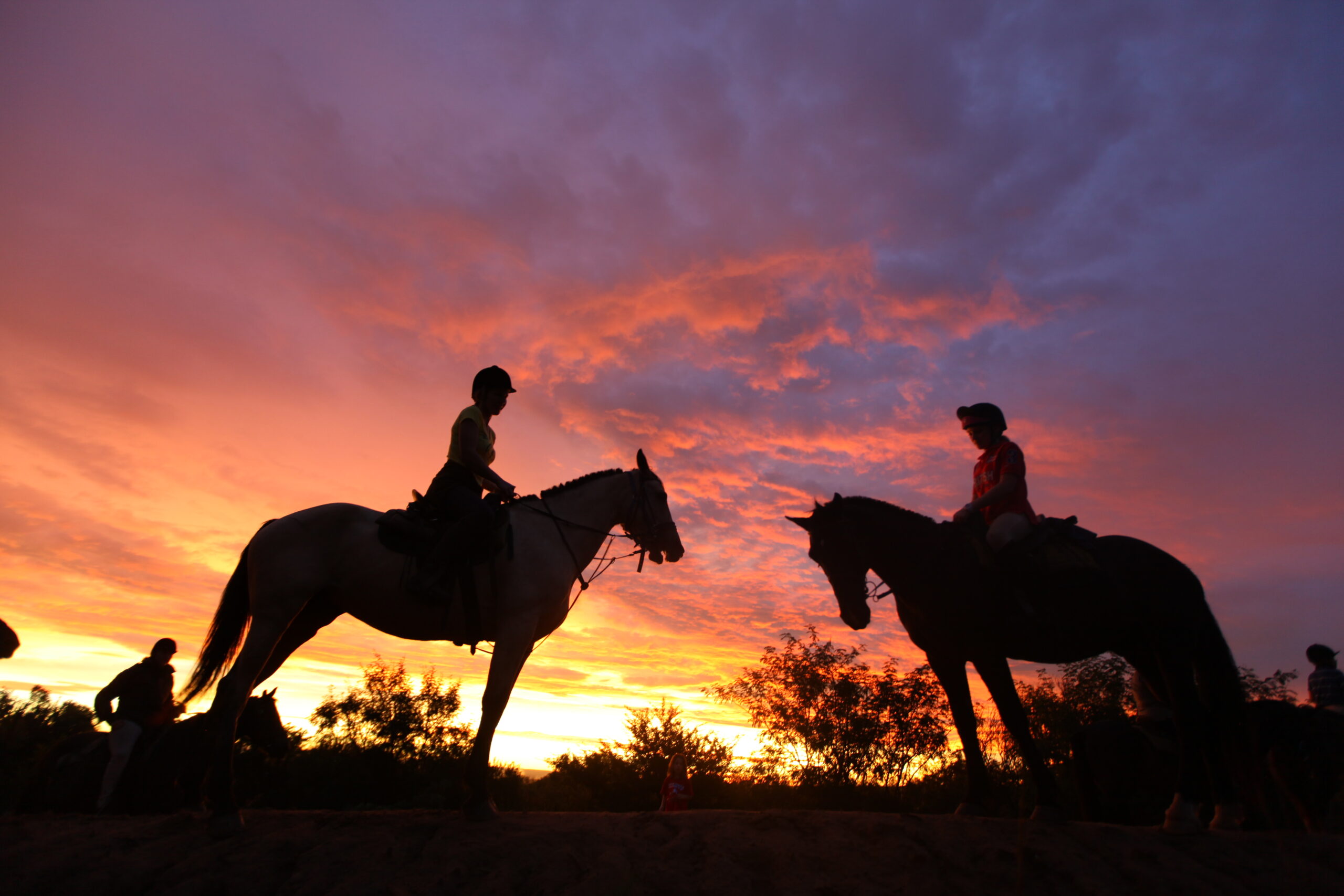 Riding safaris at Ant's (3)