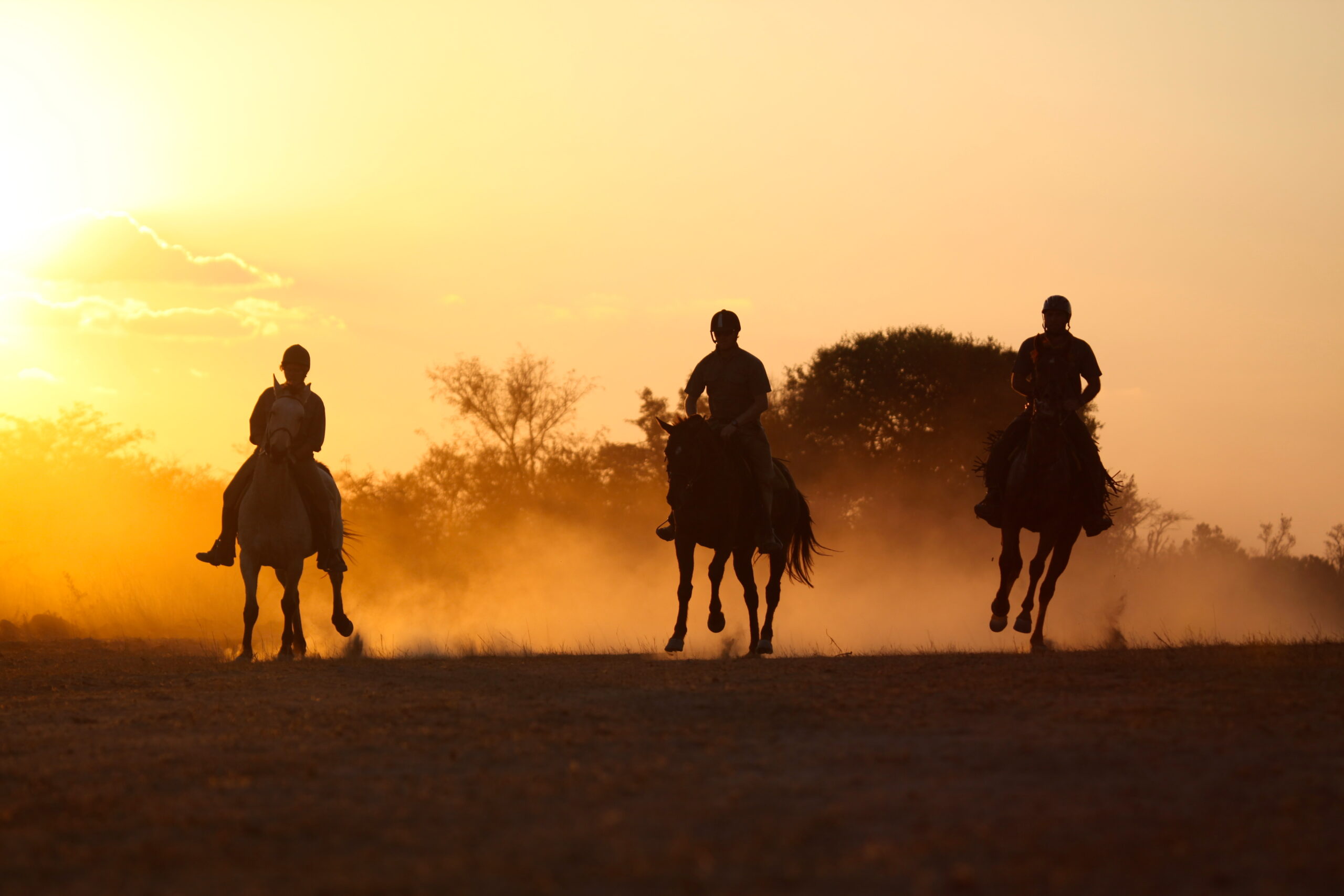 Riding safaris at Ant's (35)