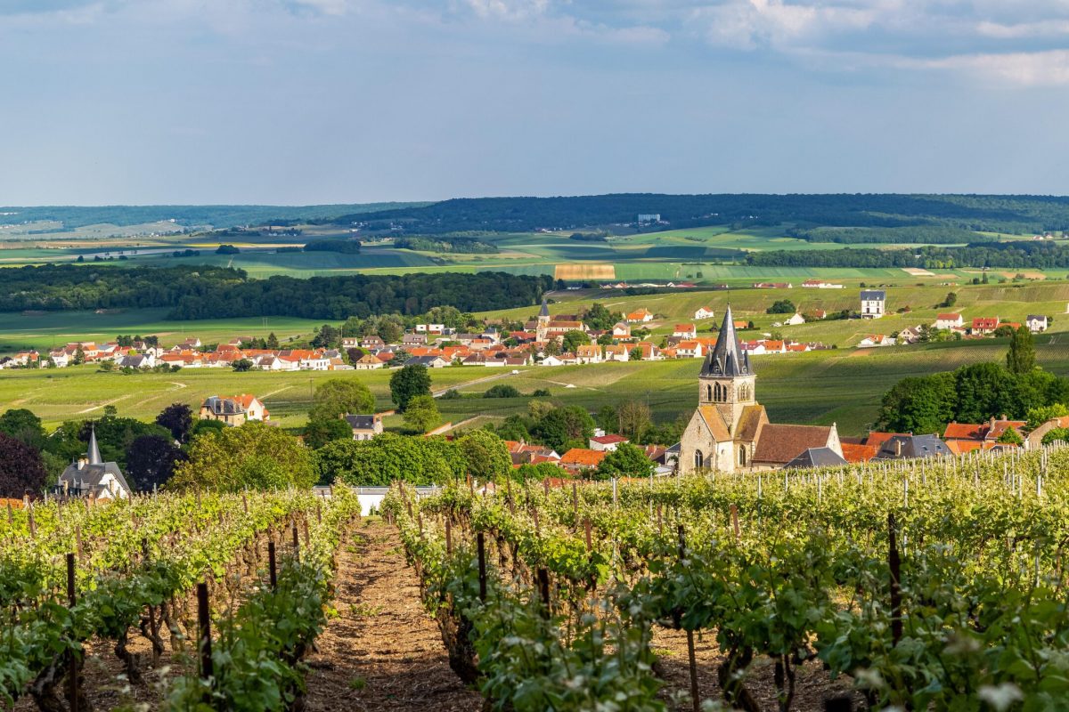 immersion-a-germaine-dans-la-belle-montagne-de-reims (1)